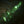 Microcosmos Set