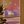 Microcosmos Set